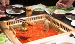 广东美食爆料视频播放,揭秘广东美食爆料视频背后的美味传奇