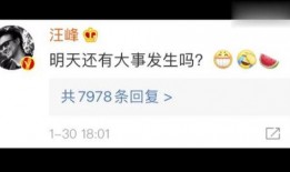 娱乐吃瓜区nga,揭秘娱乐圈背后的那些事儿